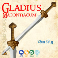 Gladius magontiacum